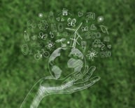 ecran-numerique-journee-environnement